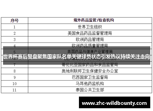 世界杯赛后复盘聚焦国家队名单关键球员状态引发热议持续关注走向